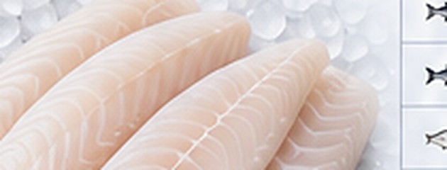 White Fish